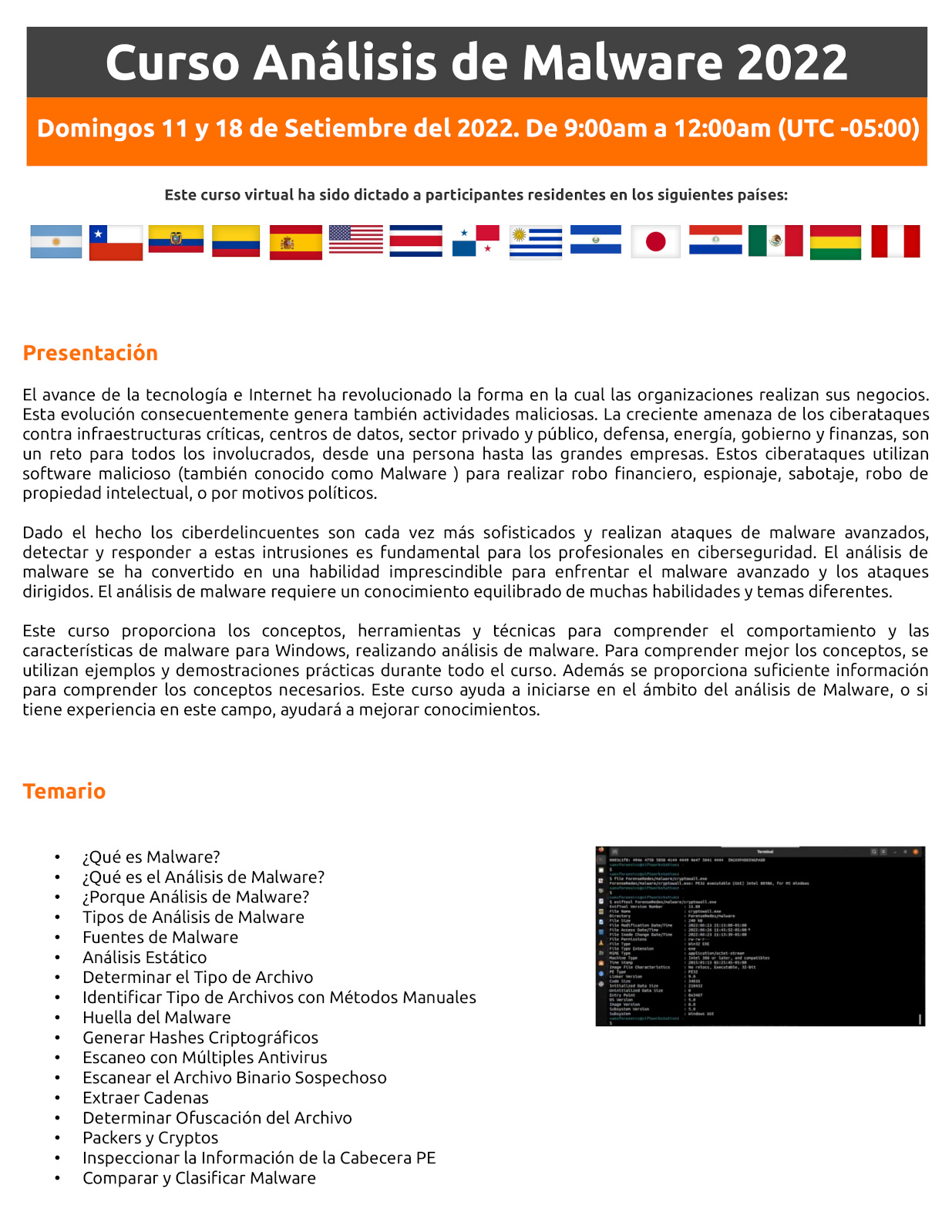 Único Curso Virtual Análisis de Malware 2022